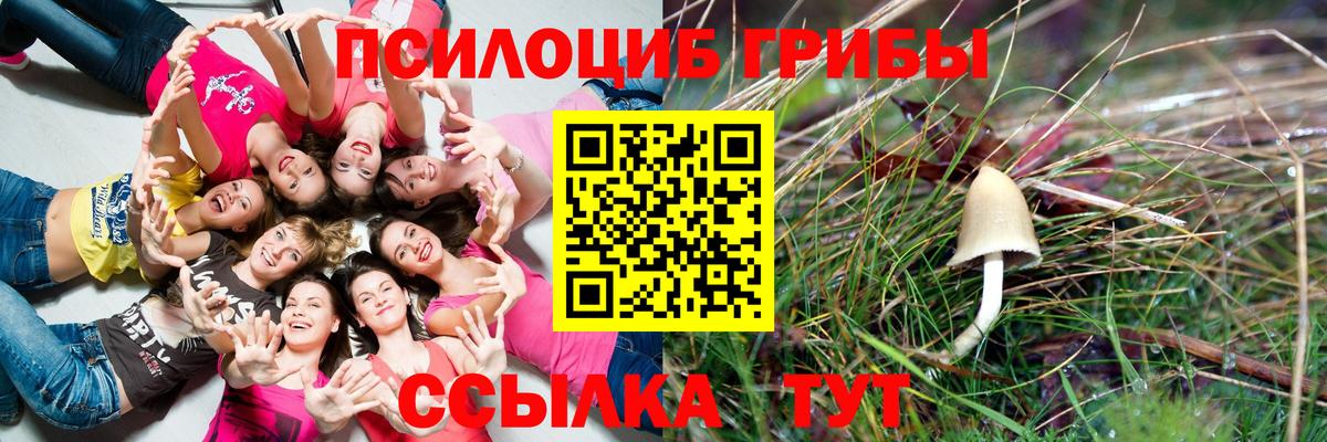 Галлюциногенные грибы GOLDEN TEACHER  Вход с VPN  Лесосибирск 