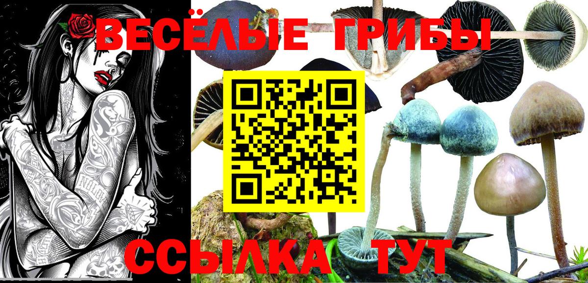 Галлюциногенные грибы мухоморы Лесосибирск