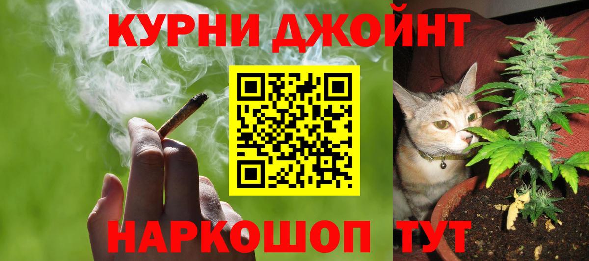 Шишки марихуана сатива  Вход с VPN  Лесосибирск  Марихуана планчик 